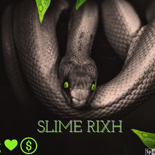 Jmunna 🐍Homicide Boyz💚IG: JMunna_Slime 🎙Email: JmunnaBlueHunnits@icloud.com https://t.co/QqmVjY9fFC