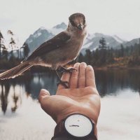 سلطان العضيّله (@almutair30511) 's Twitter Profile Photo