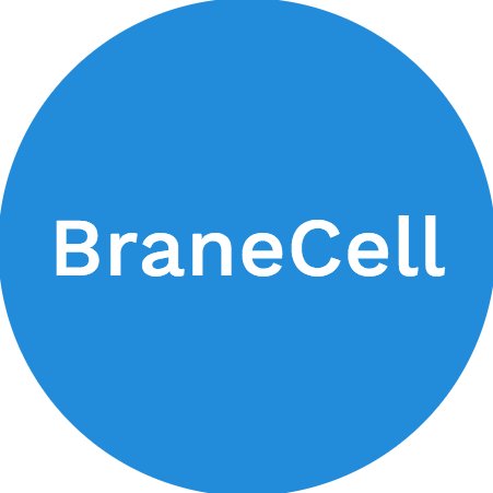 BraneCell's profile picture. Quantum Neural Network and QPU, bases for AI chips and Spatial Computing, the smallest footprint qubits today, made for our tomorrows.