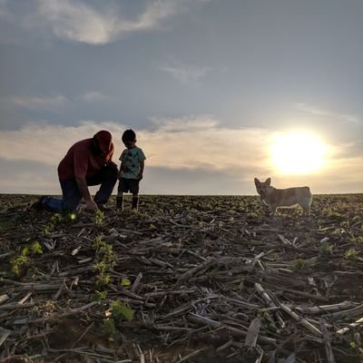 Farmer, Owner of Lauritsen Ag LLC Golden Harvest Seed advisor...Love Ag and My Family..