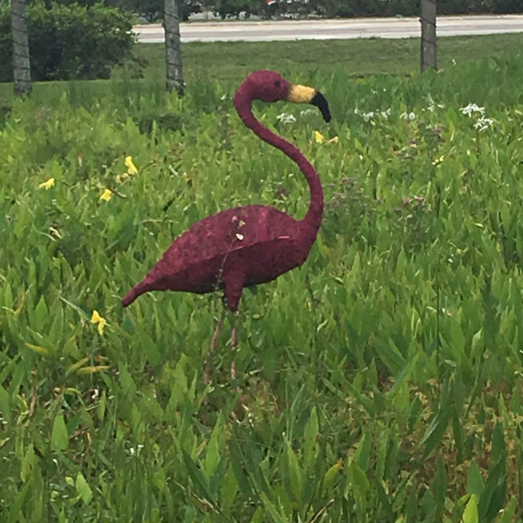 NikiFord3's profile picture. 