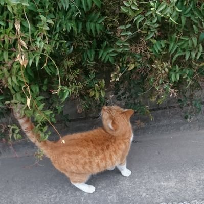 tyty_gurumaru's profile picture. ビギナーeighter.丸山担.
目の前の向こうへ