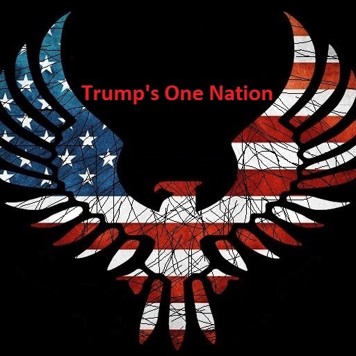 TRUMPSONENATIO1's profile picture. 
