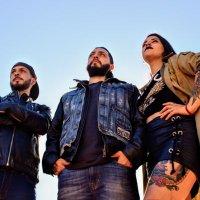 Distinto Animal (@distintoanimal) 's Twitter Profile