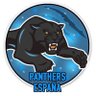 PanthersSpain's profile picture. Lugar de encuentro para aficionados de los Carolina Panthers y NFL en español. Fan account.