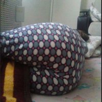 evliyiz-evliçift-arıyoruz (@evliary) Twitter profile photo