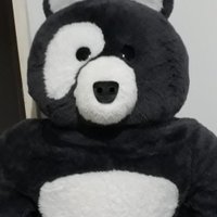 richard brandt (@ric_brandt) 's Twitter Profile