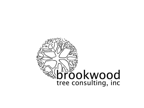 brookwoodtree Profile Picture