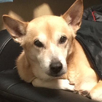 arata_hana_jiji's profile picture. なんちゃってトレーダー(兼業) 仮想通貨はホーチミン ゴルフと洗車が好き(^^) CX60→ロードスターRF
