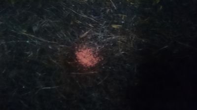 B4ng_mee's profile picture. 