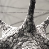 IaaS (@iaas_com) 's Twitter Profile