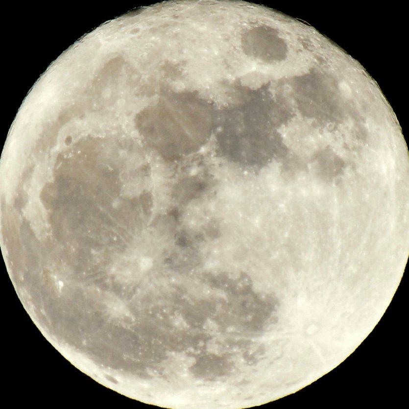 rojiji0J0's profile picture. 身内アカです　悪意なし