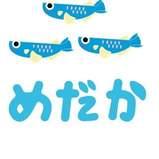 大阪市西区にて放課後等デイサービス児童発達支援を行なっている事業所です🐟✨ #大阪 #放課後等デイサービス #児童発達支援 #児童福祉