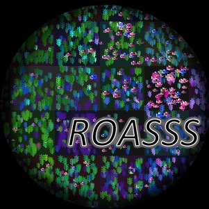 RofASSS Profile Picture