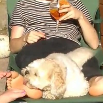 _johnbosteels's profile picture. a big waste of space