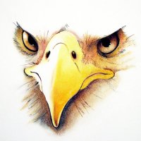 NFC Baseball(@NFC_Baseball) 's Twitter Profile Photo