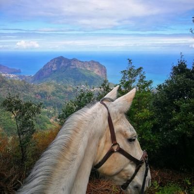 An Island to discover on horseback!