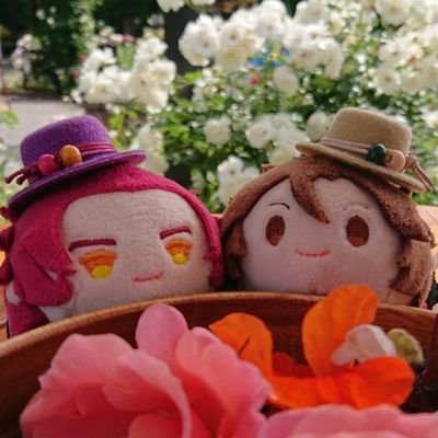 YO☆さんのプロフィール画像