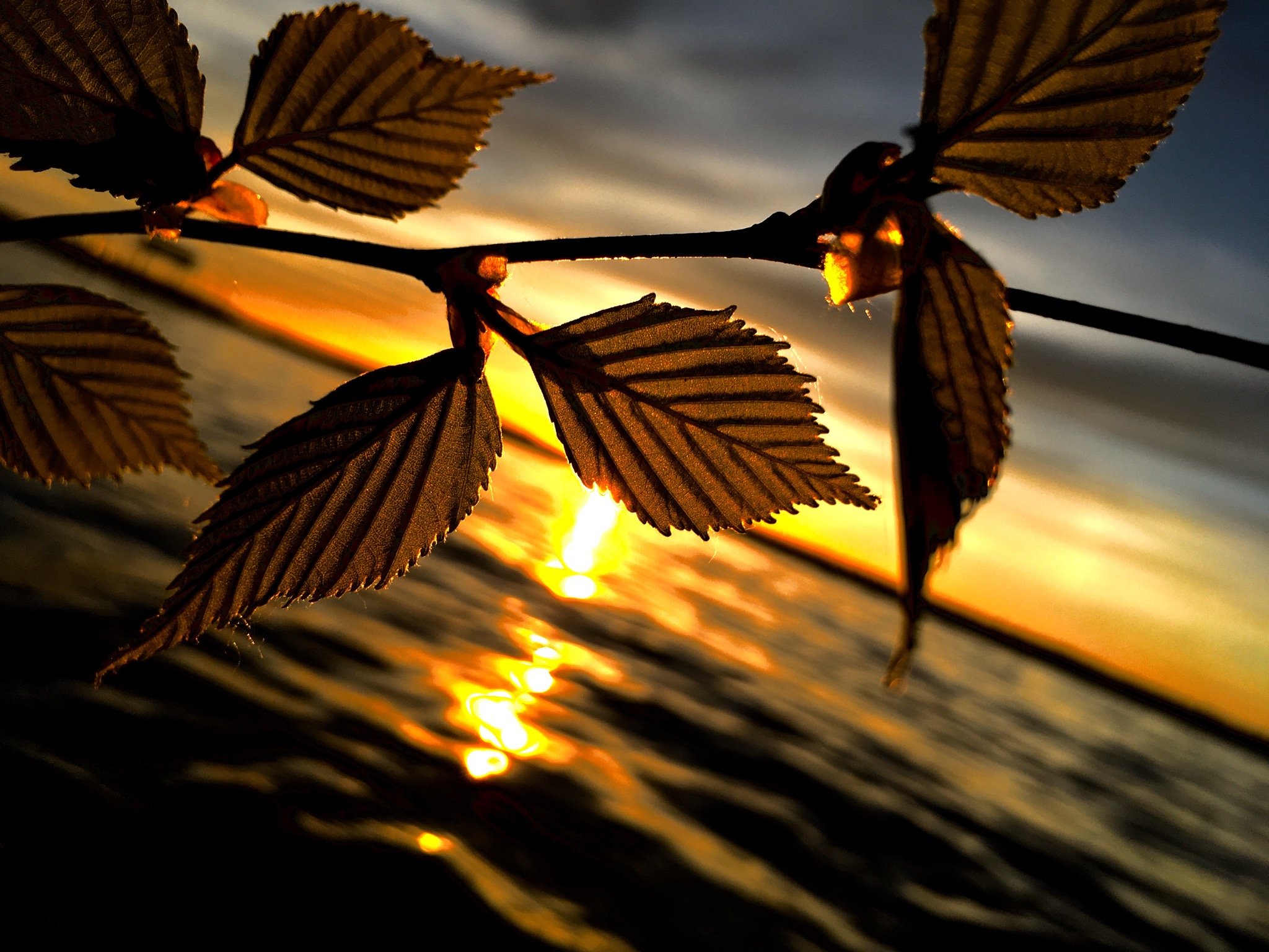 tyler_kaspari's profile picture. 