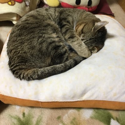 Hum03Mkyn's profile picture. 娘と息子が劇団ひまわりの研究生です(*^^*)観劇大好きです（＾∇＾）
