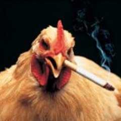 hoverboot's profile picture. Unfrozen caveman statistician. He/Him.