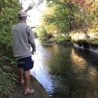 josh hollander (@hollander_josh) 's Twitter Profile