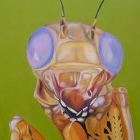 Fuck Religion (@primarycaro) 's Twitter Profile