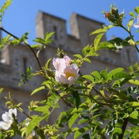 chateau d'Hardelot (@chateauhardelot) 's Twitter Profile Photo chateau d'Hardelot (@chateauhardelot) 's Twitter Profile Photo