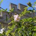 chateau d'Hardelot (@chateauhardelot) Twitter profile photo chateau d'Hardelot (@chateauhardelot) Twitter profile photo