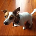 Lidya Sanchez - @LidyaLidya7 - Twitter