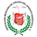 Asociación Mexicana de Cirugía del Aparato Digesti (@amcadigestivo) Twitter profile photo Asociación Mexicana de Cirugía del Aparato Digesti (@amcadigestivo) Twitter profile photo