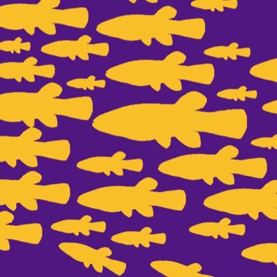 The Green Lab at @LSU studies fish physiology, endocrinology, and toxicology. #fishsci
