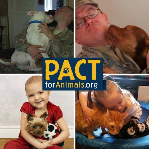 PACT for Animals is a 501(c)3 non-profit dedicated to fostering pets for active duty US military members on assignment & citizens in medical crisis.CFC #71073