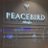 PEACEBIRD