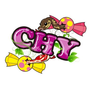 CHY09774969's profile picture. 移転しました。ペットショップとして生まれ変わりました。気軽に遊びに来て下さい^ ^