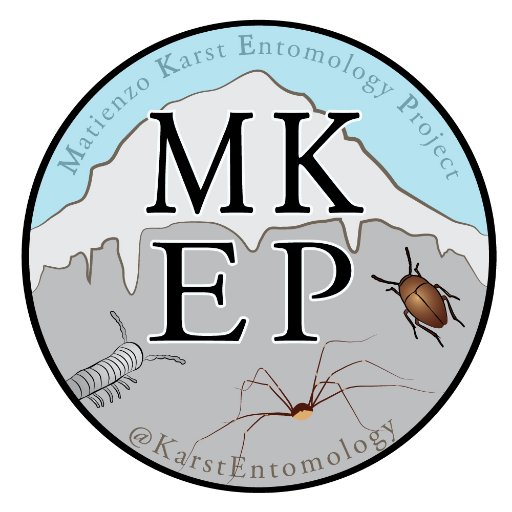 Matienzo Karst Entomology Project. studying the invertebrate communities of the  Mateinzo area within the Cantabrian Karst massif  district northern  Spain.