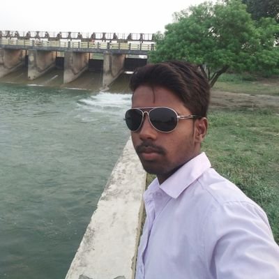AmitAry53385481's profile picture. 