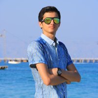Mohamad Reza Davoodi (@mrdavoodii) 's Twitter Profile