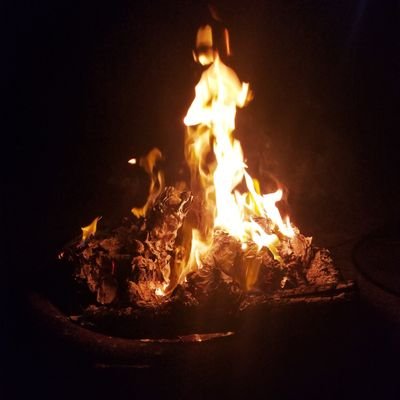 Ryler_Tinaldi's profile picture. 38 future Navy welder