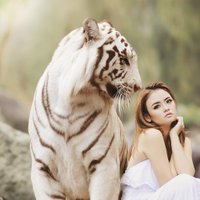 玉野虎 (@tamano_tora) Twitter profile photo