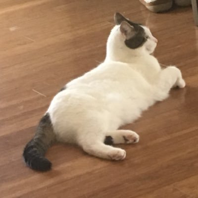 Zmcr1234's profile picture. Zach he/him 19