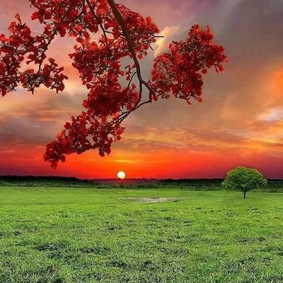 MrAsish2's profile picture. Looking for date to marry