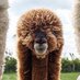 hooston (@huwjos) Twitter profile photo hooston (@huwjos) Twitter profile photo