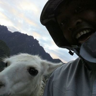 And_I13's profile picture. Blue Check