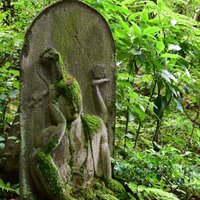 観清院 (@kanseiin6148) 's Twitter Profile Photo