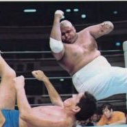 毒針 (@dokubarielbow) Twitter profile photo