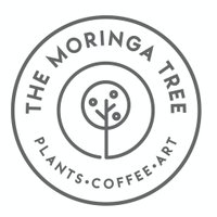 The Moringa Tree(@the_moringatree) 's Twitter Profile Photo