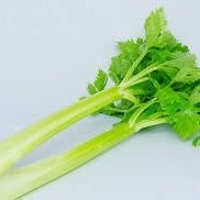 セロリさんのプロフィール画像