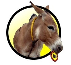 BurntBurro's profile picture. Expert Table Games player tweeting advice, along w/unaltered live 2009/2010 play results from Baccarat, Blackjack, Craps & Roulette in Las Vegas Casino's.