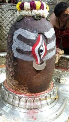 NAVEENS69950031's profile picture. 